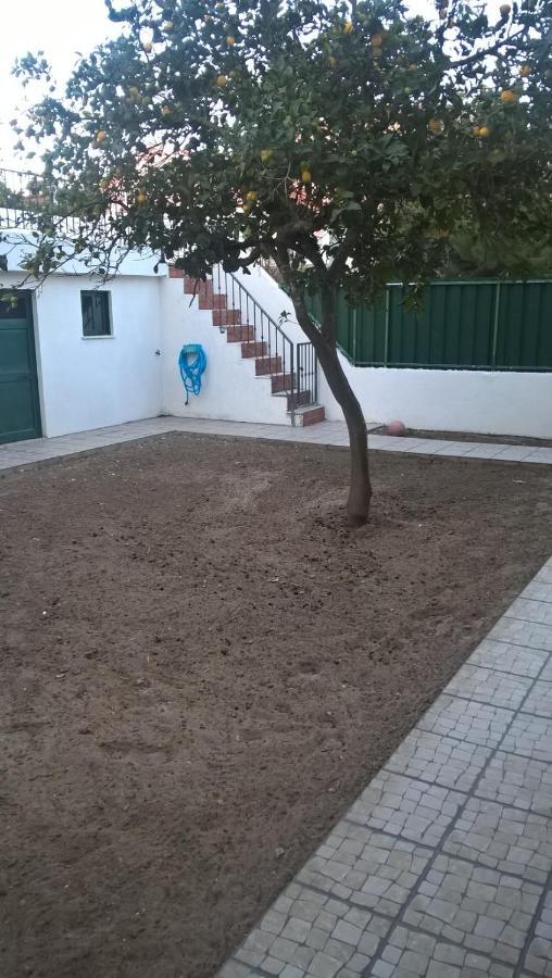 Casa Do Limoeiro Bed & Breakfast Quinta do Conde Exterior photo