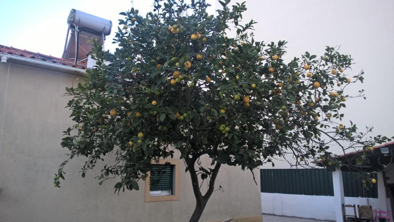 Casa Do Limoeiro Bed & Breakfast Quinta do Conde Exterior photo